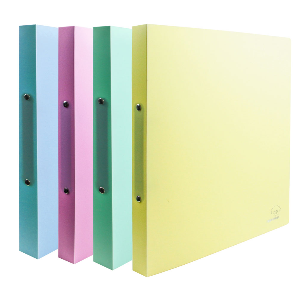 TYPOTRUSTΝτοσιέ 2 Κρικ Pastel Α4 2.6εκ Ράχη PP 4 Χρώματαpapell.gr